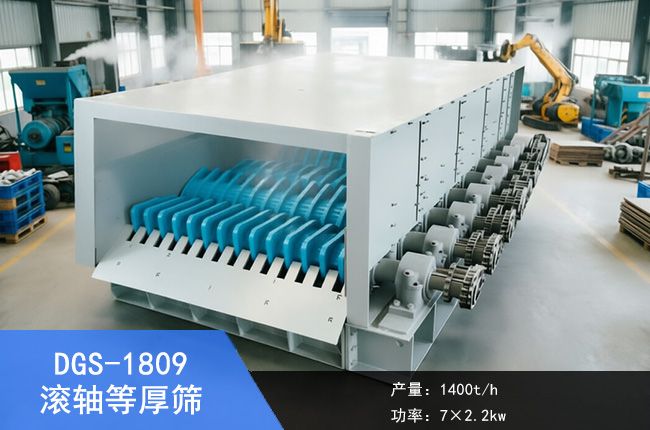 DGS-1809����Ⱥ�ɸ